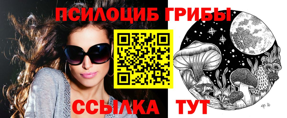 Псилоцибиновые грибы MAGIC MUSHROOMS  Псилоцибиновые грибы MAGIC MUSHROOMS  Вход с VPN  Тихвин 