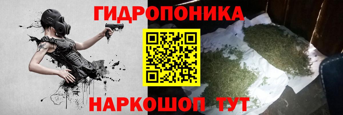 Конопля Amnesia Тихвин